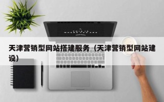 乐山天津营销型网站搭建服务（天津营销型网站建设）