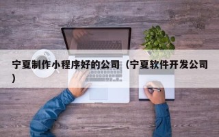 乐山宁夏制作小程序好的公司（宁夏软件开发公司）